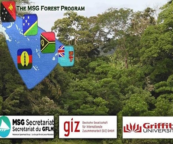 MSG Forest Program